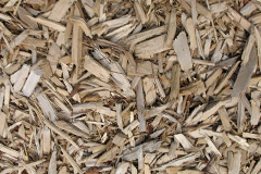biomass boilers Penmark